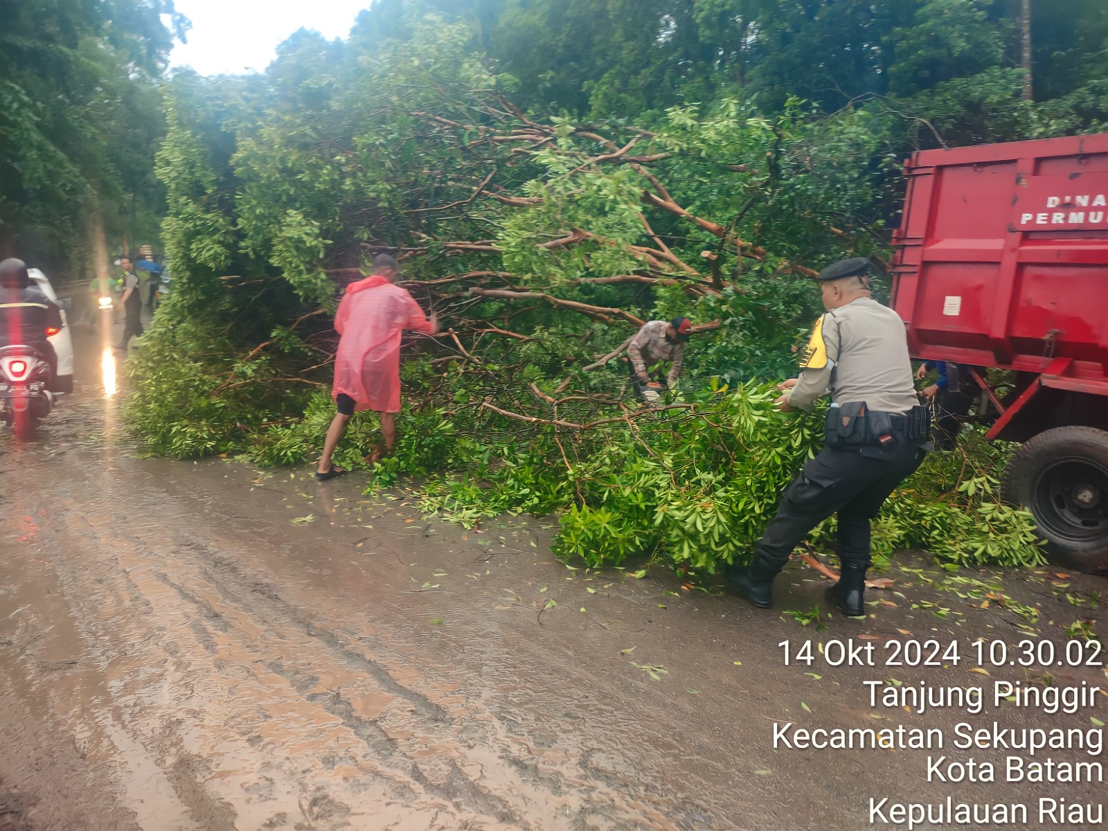 Di Tengah Hujan deras, Personil Samapta Polresta Barelang Evakuasi Pohon Tumbang dan Banjir
