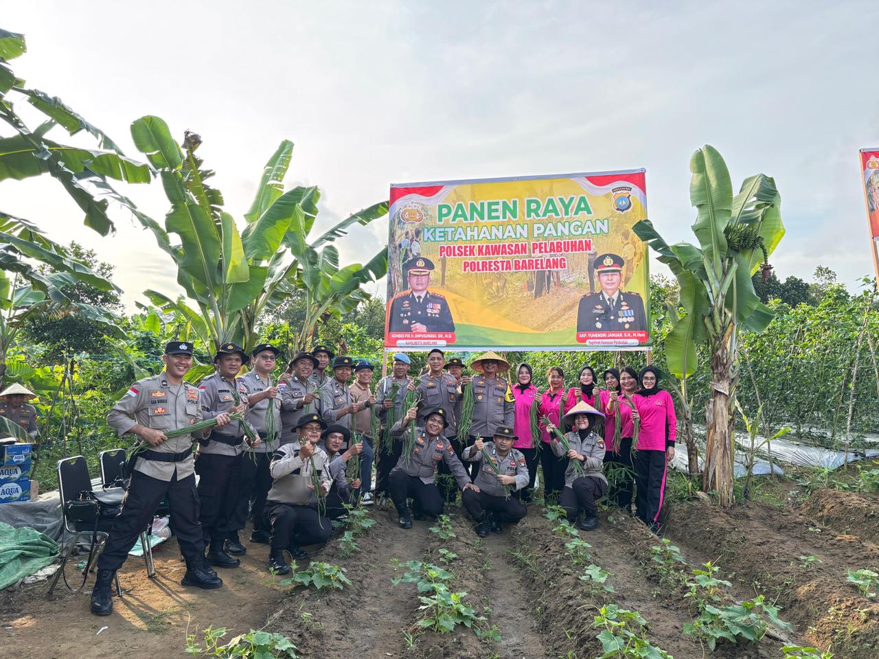 Polsek KKP Batam Panen Raya di Kebun Ketahanan Pangan, Wujudkan Swasembada Pangan