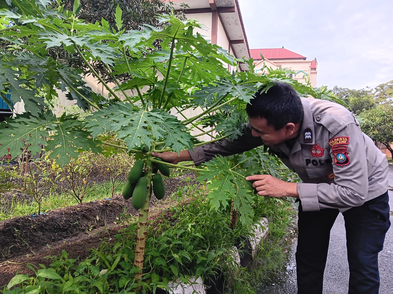 Polsek Batam Kota Dukung Ketahanan Pangan, Wujud Nyata Program Asta Cita Presiden RI