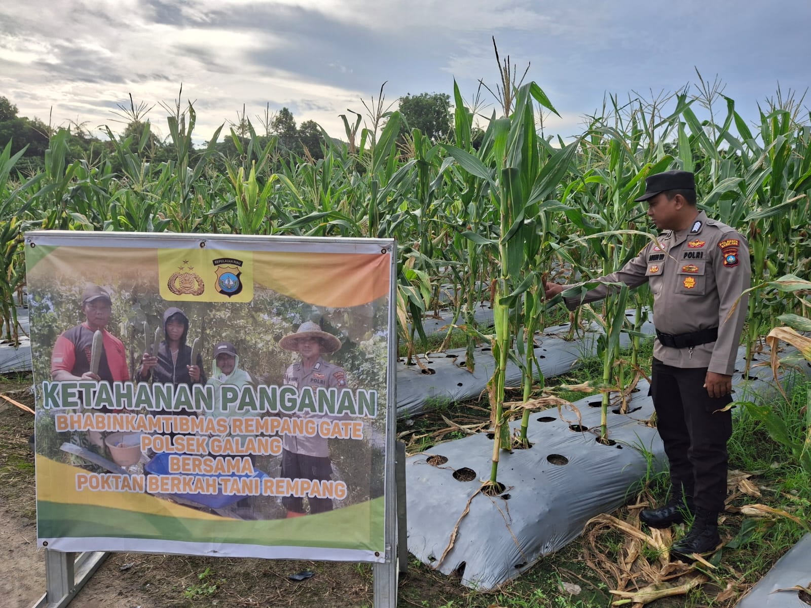 Polsek Galang Dukung Ketahanan Pangan Melalui Pemanfaatan Lahan Tidur Di Sembulang