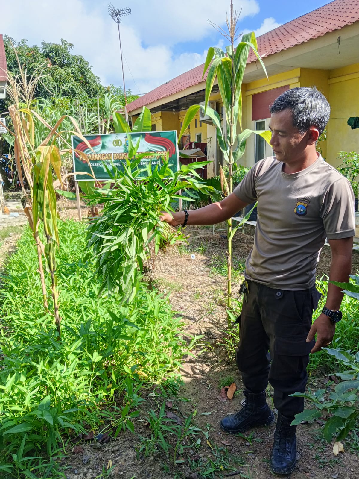 Polsek Sagulung Hadirkan Kebun Ketahanan Pangan, Perkuat Sinergi Polri dan Masyarakat
