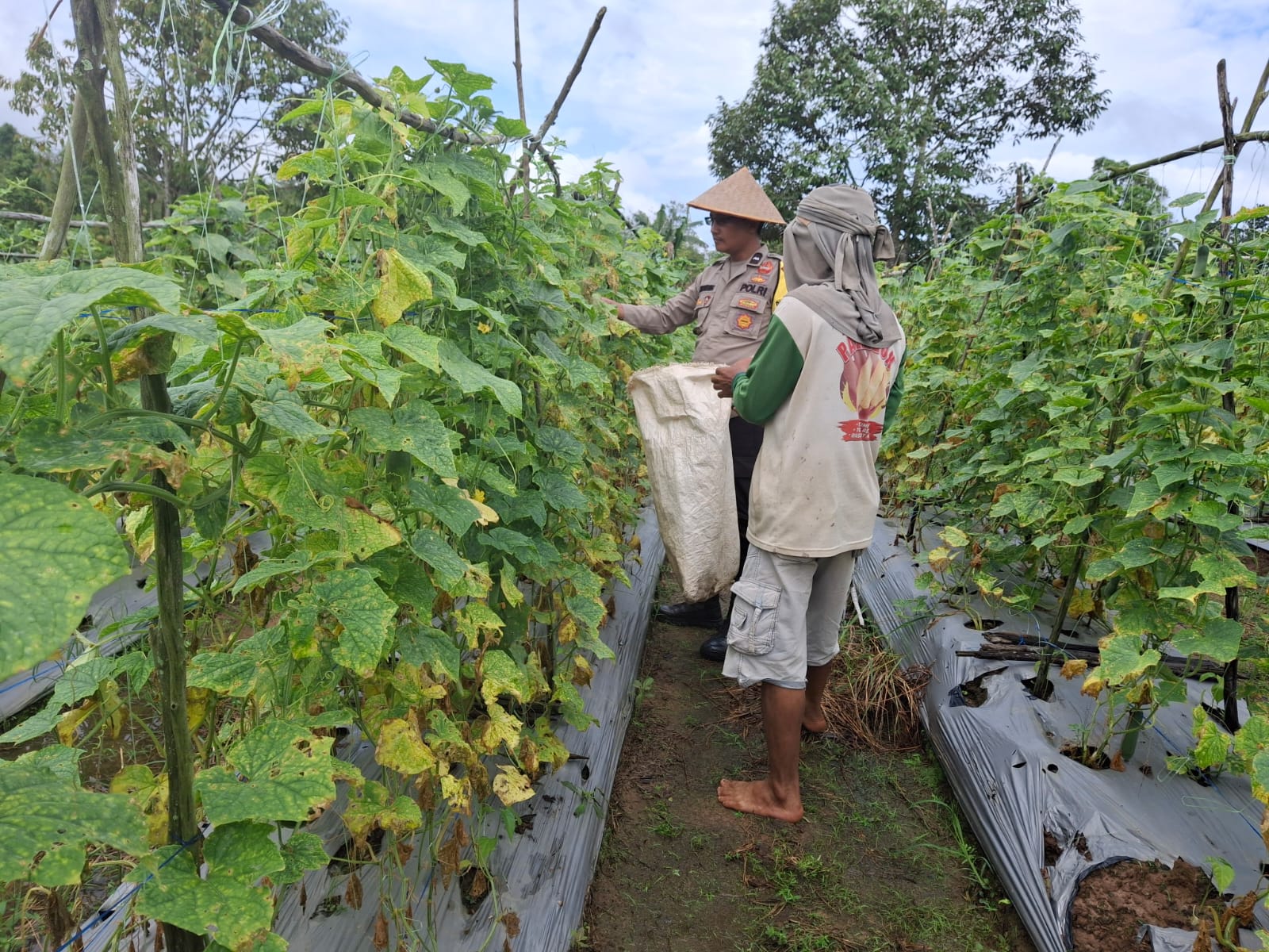 Polri Bersama Petani Wujudkan Ketahanan Pangan Menuju Indonesia Emas 2045