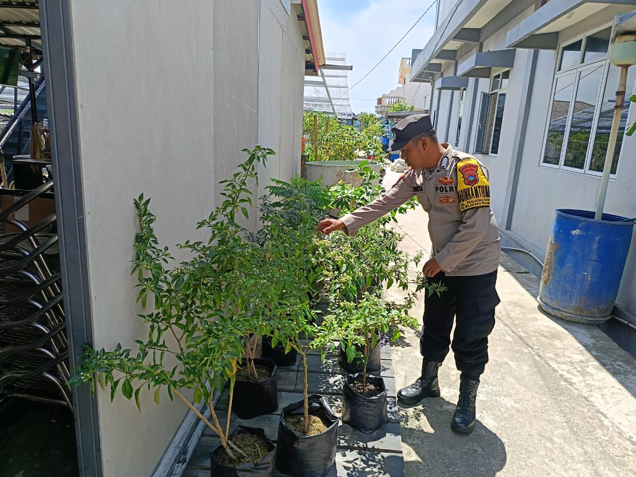 Polsek Belakang Padang Edukasi Warga Tentang Pertanian Rumahan Untuk Dukung Ketahanan Pangan
